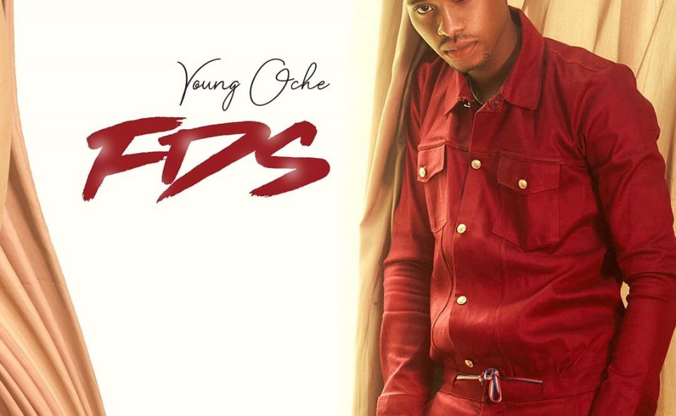 FDS by Young Oche