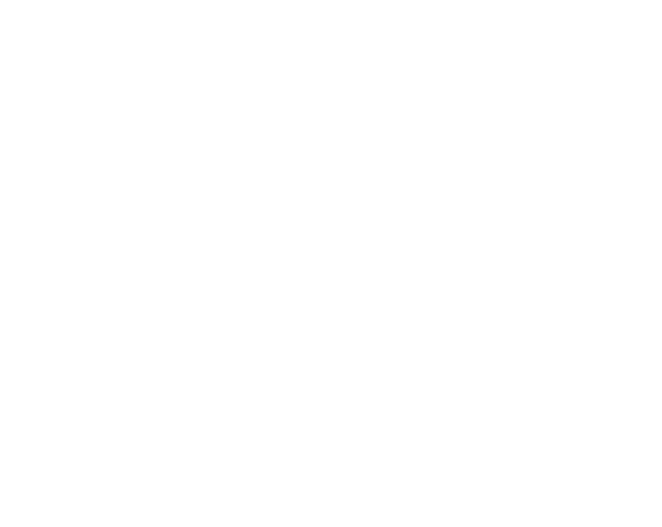 Ageless Agency